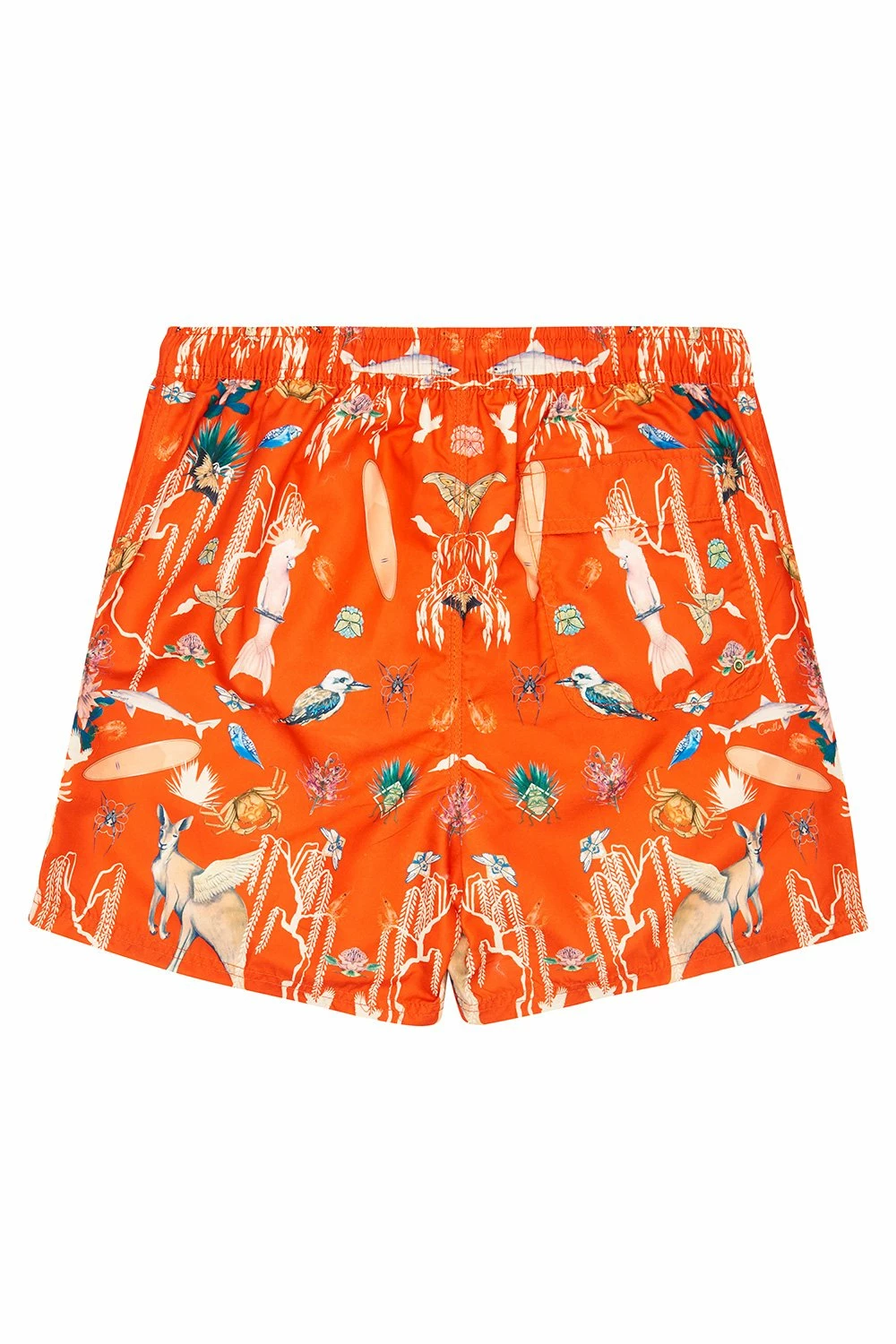 ELASTIC WAIST BOARDSHORT CINEMA PARADISO 2 ELASTIC WAIST BOARDSHORT CINEMA PARADISO - Image 2